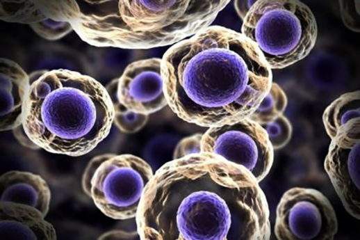 Riprogrammare le cellule malate con l’epigenetica