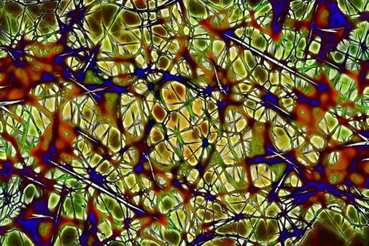 Anche il cervello ha un'impronta digitale: nuove strategie di prevenzione e cura