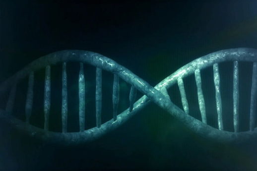 Le mille forme del DNA