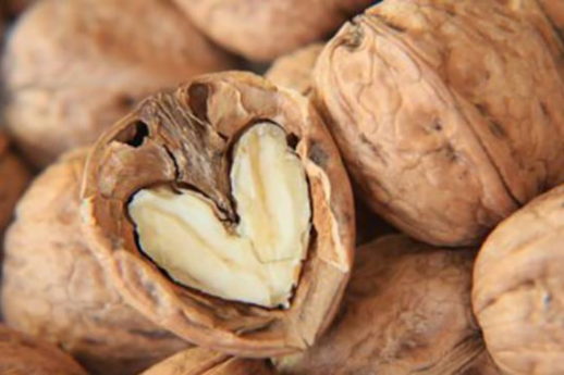 Tumore al pancreas: un aiuto arriva dal magnesio