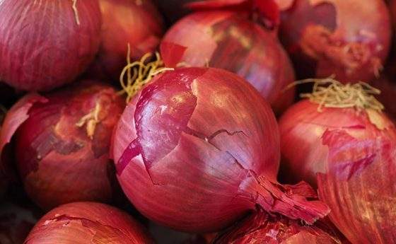 Cipolle rosse: doppio pugno killer contro le cellule tumorali