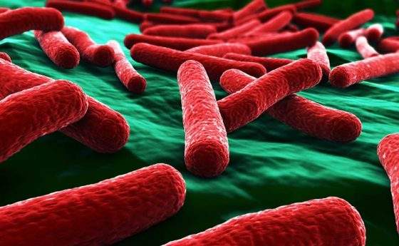 Bioelettricità, la nuova arma per combattere le infezioni