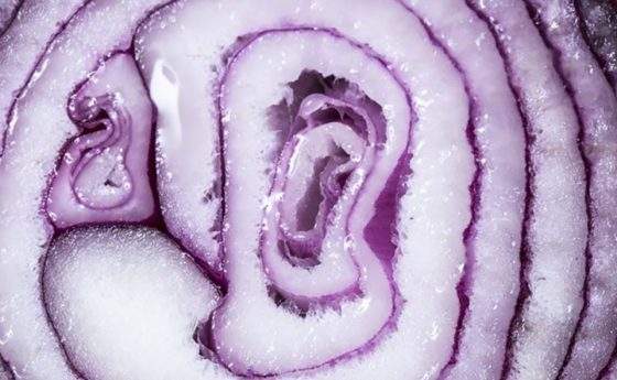 Perchè le cipolle fanno piangere