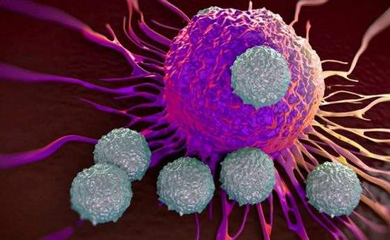 Dall’ictus al tumore: come curare le radici comuni