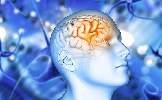 Dall’ictus al tumore: come curare le radici comuni