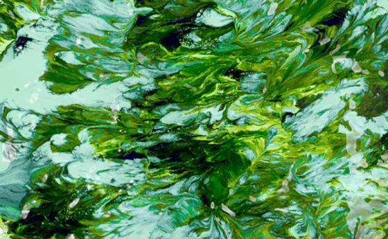 Omeopatia: una terapia riconosciuta ed efficace
