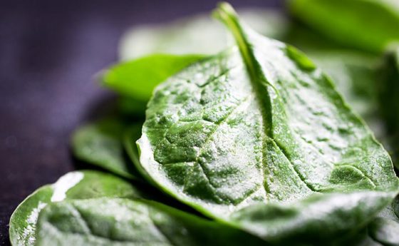 Spinaci, bietole e erbette. Il buono della terra in tavola