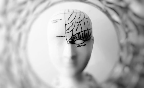 Particelle magnetiche nel tessuto cerebrale: una ricerca