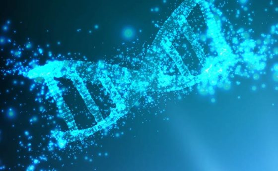 Come i campi elettromagnetici possono causare danni al nostro corpo