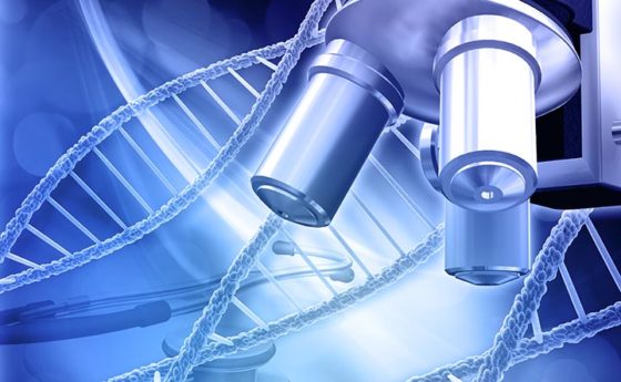 L'alchimia della guarigione: trasformare le ferite in pelle