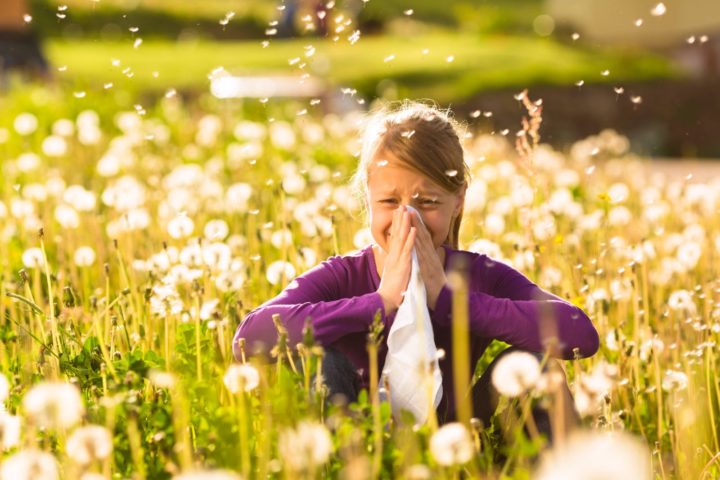 Pollini e fioriture primaverili: una vera tortura per gli allergici