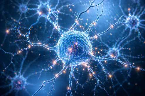 Rappresentazione microscopica di neuroni e connessioni sinaptiche per illustrare la neuroplasticità e la salute cerebrale.